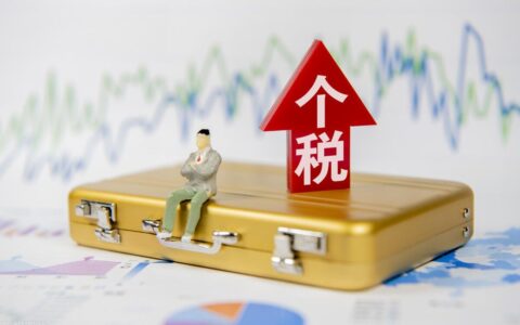 一般纳税人网上怎么报税(一般纳税人网上怎么报税步骤)