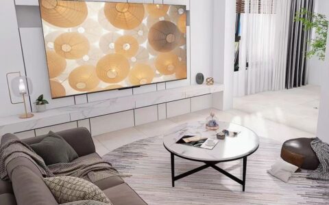 哥哥用私房钱也要安排的电视，到底是怎样的配置？