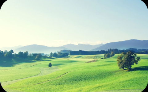 怎么把图片变成圆角(醒图怎么把图片变成圆角)