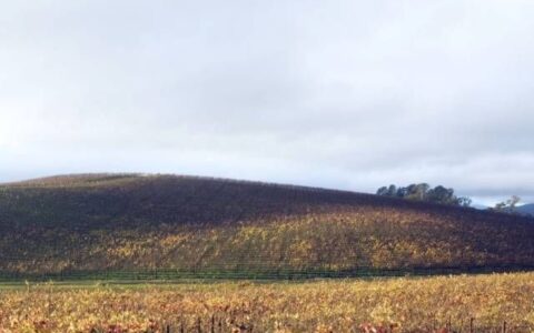 霸占10亿台电脑屏幕(霸占10亿台电脑屏幕多少)