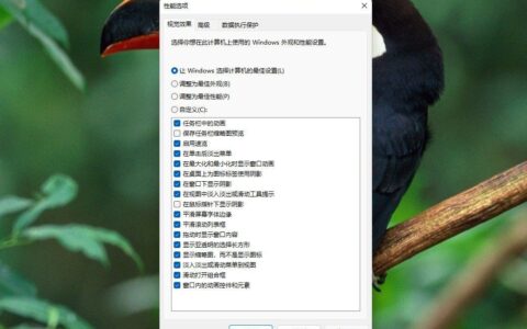 提高电脑性能(提高电脑性能的方法)