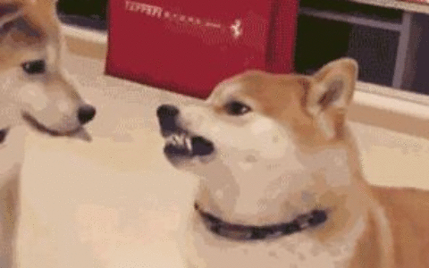 电脑屏幕录制及GIF表情包动画工具分享(电脑录屏做gif)