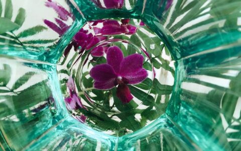 在家手机照片怎么拍(在家手机照片怎么拍好看)