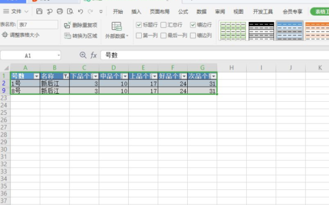 初学Excel表格办公软件快速筛选(办公软件excel表格如何筛选)