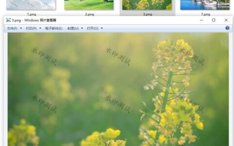 图片怎么打满屏的水印(图片如何打满屏水印)