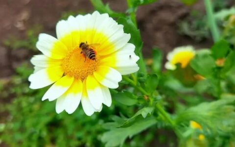 思想怎么清理垃圾(思想怎么清理垃圾作文)