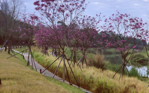 重置我们的后台程序