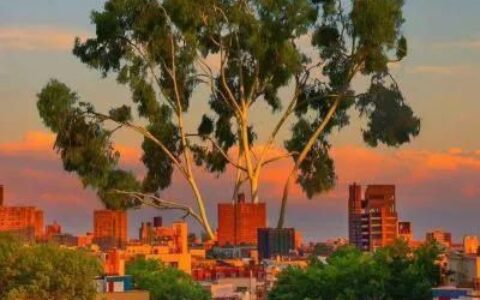 疫情期间陪孩子上网课(疫情期间陪孩子上网课的故事)