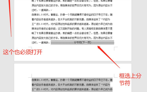 word删除页面的三种方法(word怎么删除页面)