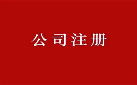 个人怎么注册网络科技公司营业执照(个人怎么注册网络科技公司营业执照名称)