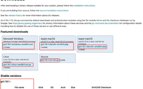 软件版本号详解(软件版本号详解是什么)