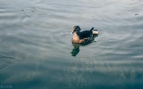 剪映入门教程(剪映教程)