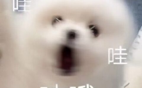 投屏到电脑上试试(投屏 到电脑)