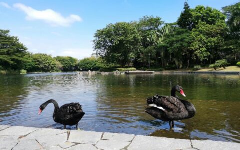 华为员工在哪里上班(华为员工在干什么)