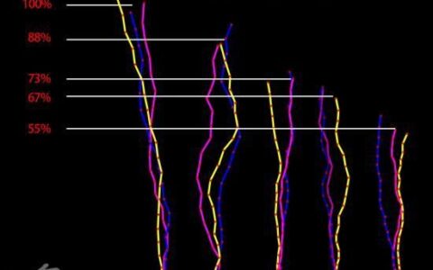 超简单的鼠标设置帮你实现更简单的压枪(超简单的鼠标设置帮你实现更简单的压枪操作)