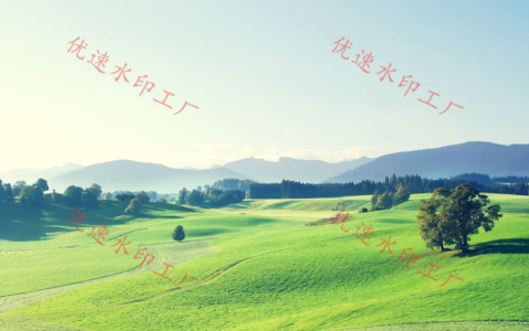 怎么给图片加水印文字(图片如何加水印文字)