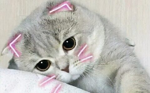 组装打金电脑须谨慎(组装打金电脑须谨慎吗)