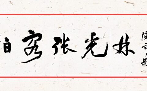 手机拍摄的基本操作与技巧(手机拍摄入门技巧)