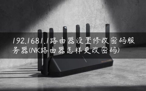 192.1681.1路由器设置修改密码服务器(NK路由器怎样更改密码)