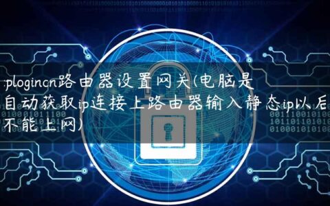 tplogincn路由器设置网关(电脑是自动获取ip连接上路由器输入静态ip以后不能上网)