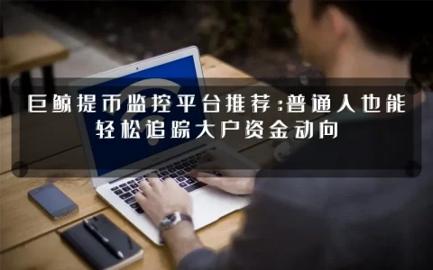 巨鲸提币监控平台推荐：普通人也能轻松追踪大户资金动向