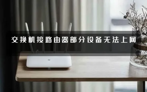 交换机接路由器部分设备无法上网