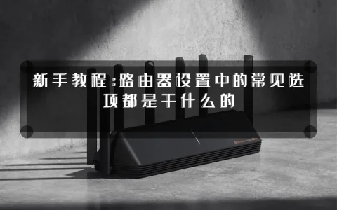 新手教程:路由器设置中的常见选项都是干什么的