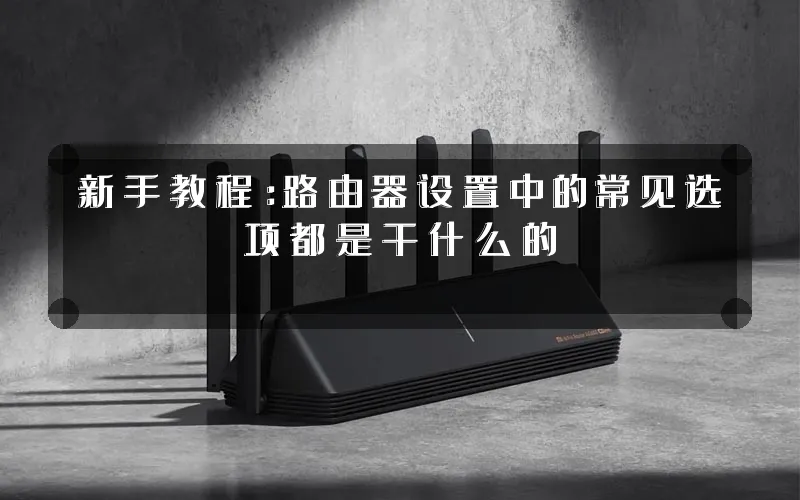 新手教程:路由器设置中的常见选项都是干什么的